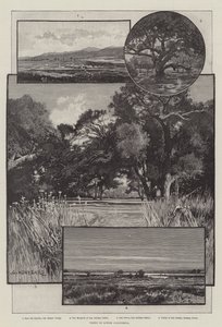 Vistas en Baja California de Charles Auguste Loye